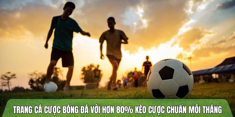 Trangcadobongda.lat - Tối ưu cơ hội thắng tại trang cá độ bóng đá